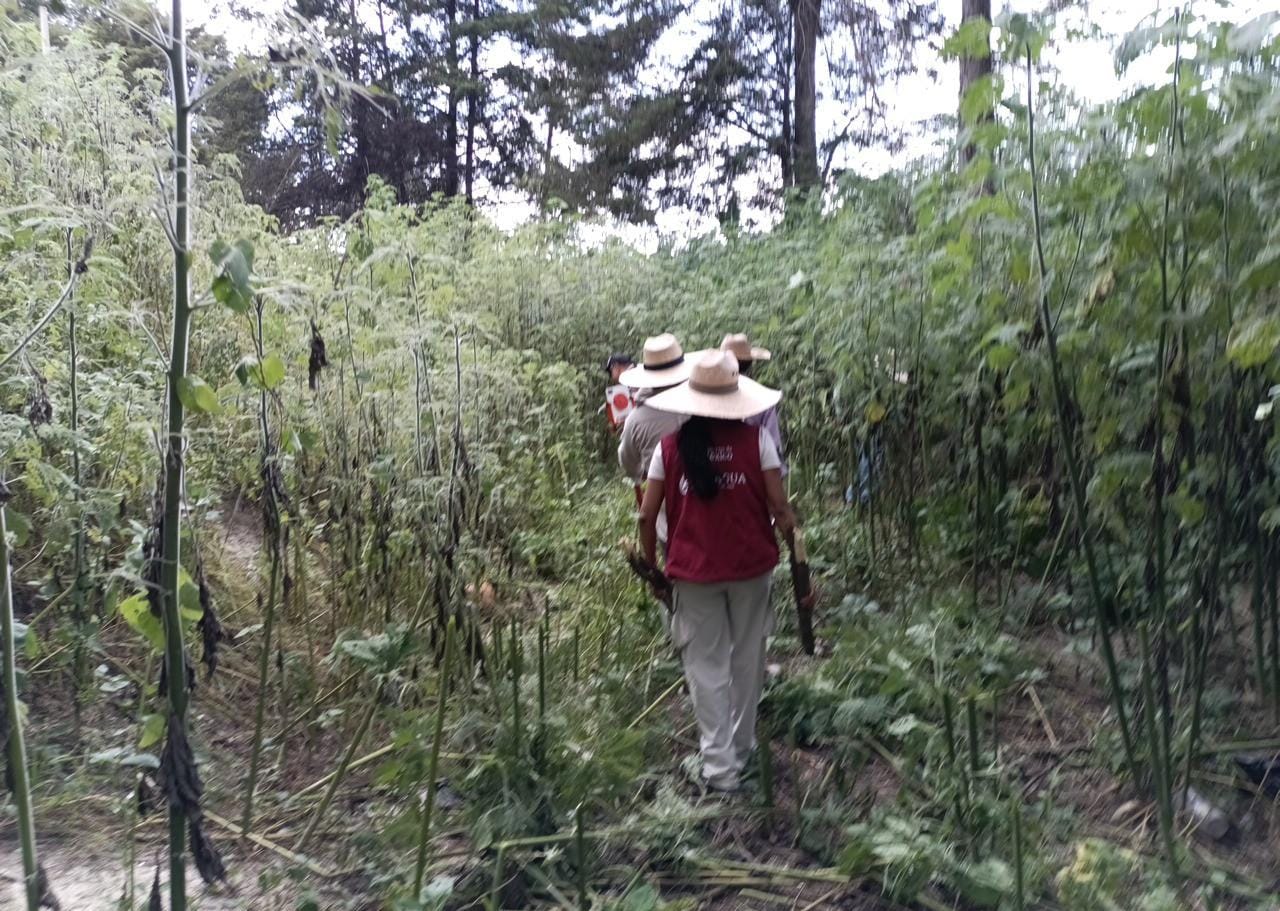Conagua y ejidatarios delimitan zona federal y cauce natural en Panotla